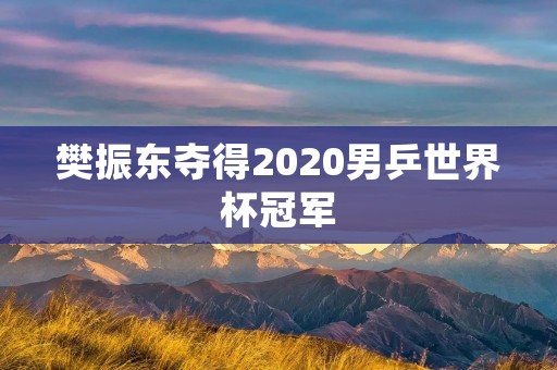 樊振东夺得2020男乒世界杯冠军