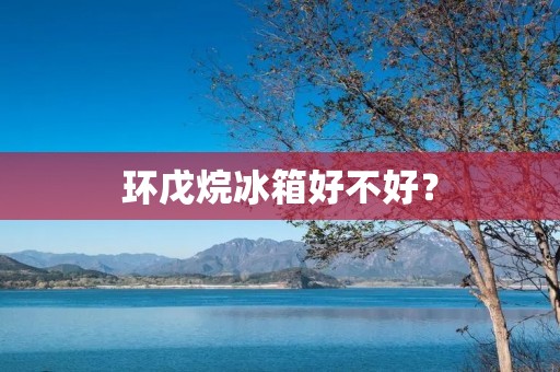 环戊烷冰箱好不好? 环戊烷冰箱好不好?