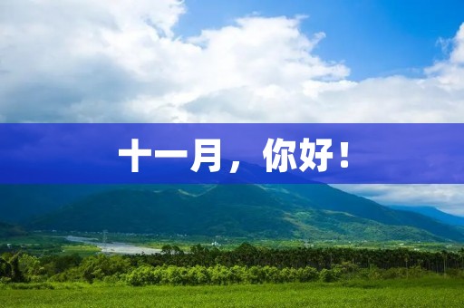 十一月,你好!