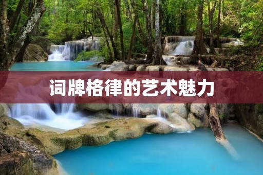 词牌格律的艺术魅力 词牌格律的艺术魅力