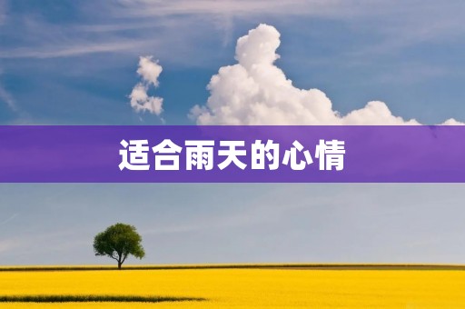 适合雨天的心情:让心情随雨飘荡
