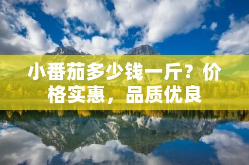 小番茄多少钱一斤?价格实惠,品质优良