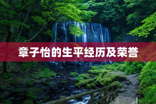 章子怡的生平经历及荣誉