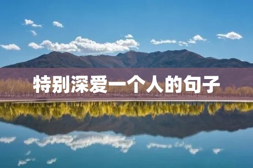 特别深爱一个人的句子