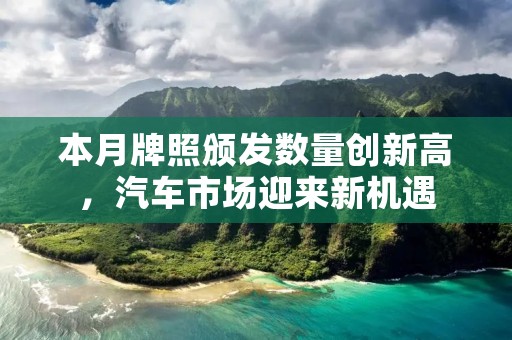 本月牌照颁发数量创新高,汽车市场迎来新机遇 本月牌照颁发数量创新高,汽车市场迎来新机遇