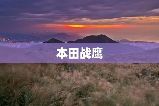 本田战鹰：探索自然，无所畏惧