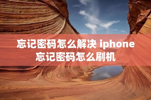 忘记密码怎么解决 iphone忘记密码怎么刷机