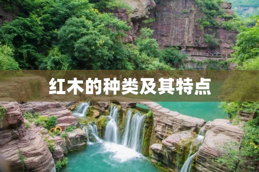 红木的种类及其特点