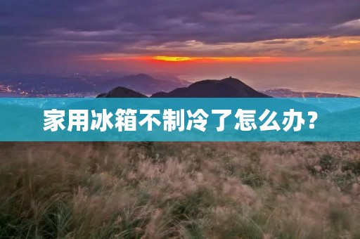 家用冰箱不制冷了怎么办？