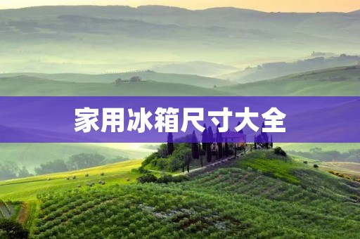 家用冰箱尺寸大全 家用冰箱尺寸大全