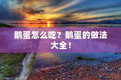 鹅蛋怎么吃?鹅蛋的做法大全! 鹅蛋怎么吃?鹅蛋的做法大全!