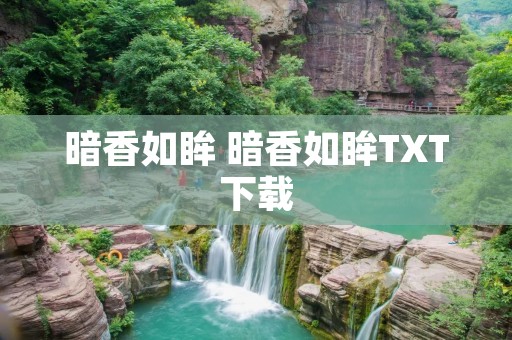 暗香如眸 暗香如眸TXT下载