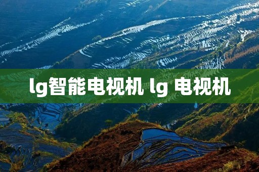 lg智能电视机 lg 电视机