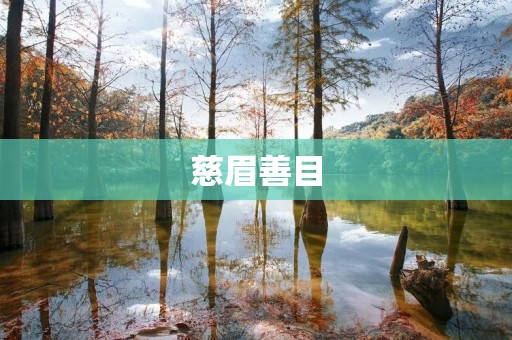 慈眉善目：人类美德的体现