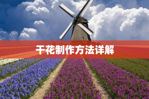 干花制作方法详解 干花制作方法详解