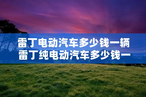 雷丁电动汽车多少钱一辆 雷丁纯电动汽车多少钱一辆