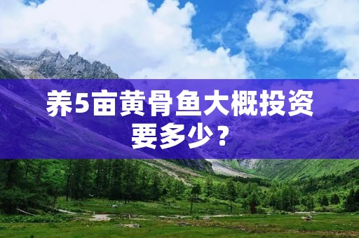 养5亩黄骨鱼大概投资要多少?