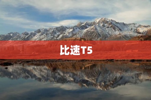 比速T5：轻量级电动车的新选择