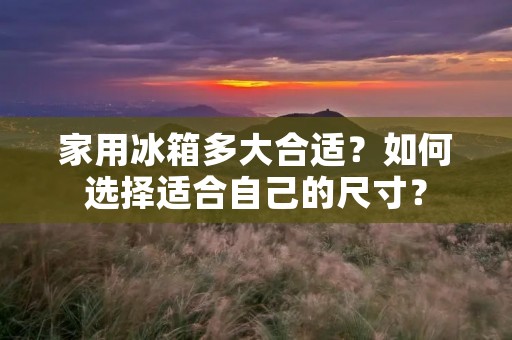 家用冰箱多大合适?如何选择适合自己的尺寸? 家用冰箱多大合适?如何选择适合自己的尺寸?