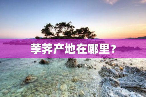 荸荠产地在哪里?