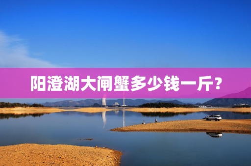 阳澄湖大闸蟹多少钱一斤?