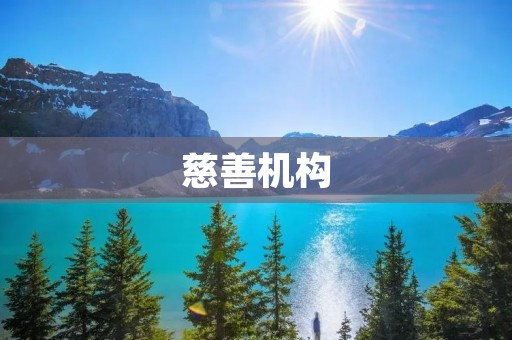 慈善机构：为爱点燃希望