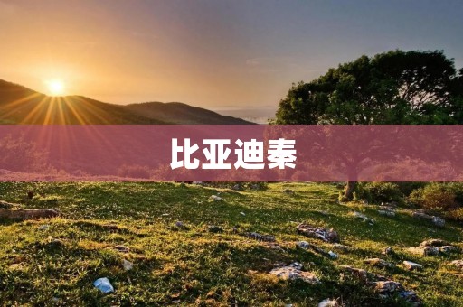 比亚迪秦：电动汽车领域的“黑马”