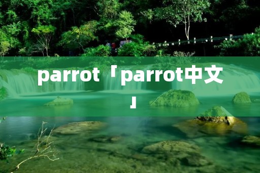parrot「parrot中文」 parrot「parrot中文」