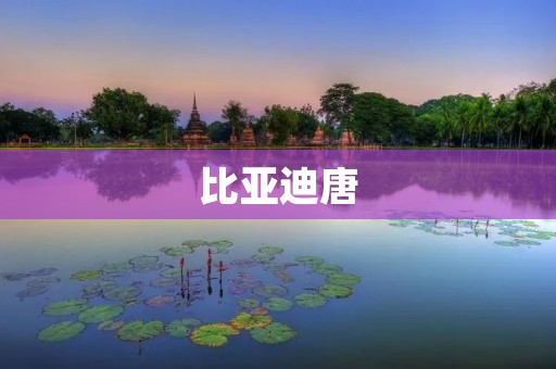 比亚迪唐：领先科技的智能SUV