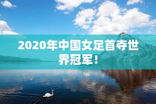 2020年中国女足首夺世界冠军！