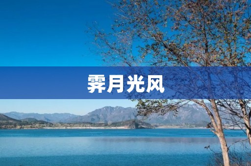 霁月光风:夜色中的美丽记忆 霁月光风:夜色中的美丽记忆