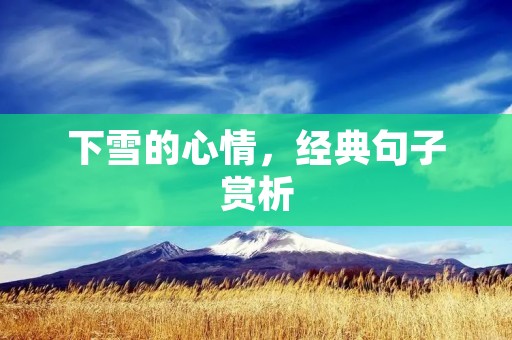下雪的心情,经典句子赏析