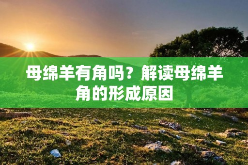 母绵羊有角吗?解读母绵羊角的形成原因