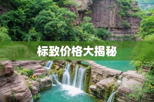 标致价格大揭秘:购买标致车型前必须知道的事情 标致价格大揭秘:购买标致车型前必须知道的事情