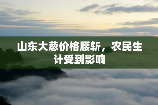 山东大葱价格腰斩,农民生计受到影响