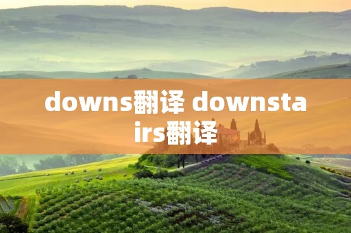 downs翻译 downstairs翻译