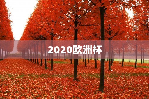 2020欧洲杯:足球盛宴即将上演 2020欧洲杯:足球盛宴即将上演