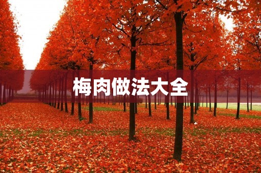 梅肉做法大全：手把手教你制作美味的梅肉