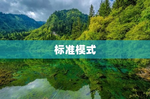 标准模式:提高产品质量的有效方法 标准模式:提高产品质量的有效方法