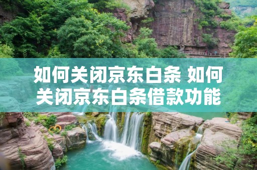 如何关闭京东白条 如何关闭京东白条借款功能 如何关闭京东白条 如何关闭京东白条借款功能