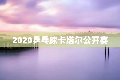 2020乒乓球卡塔尔公开赛：中国队崭露头角