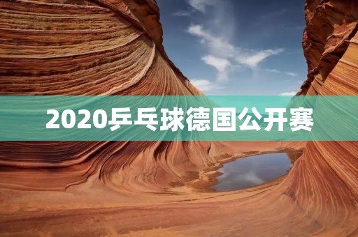 2020乒乓球德国公开赛：中国队夺冠