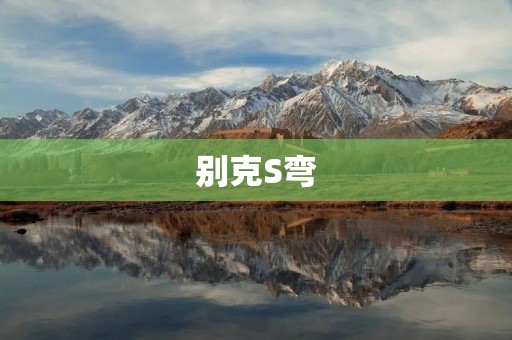 别克S弯:一场致命的游戏 别克S弯:一场致命的游戏