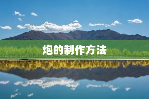 炮的制作方法