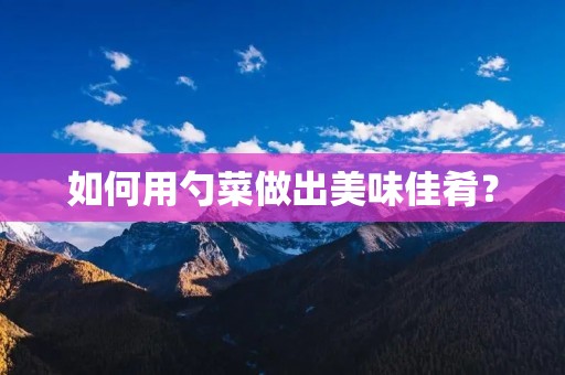如何用勺菜做出美味佳肴？