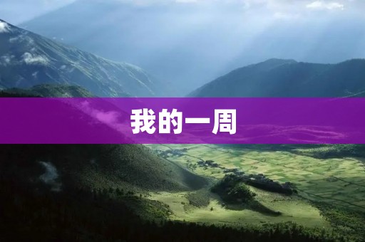 我的一周