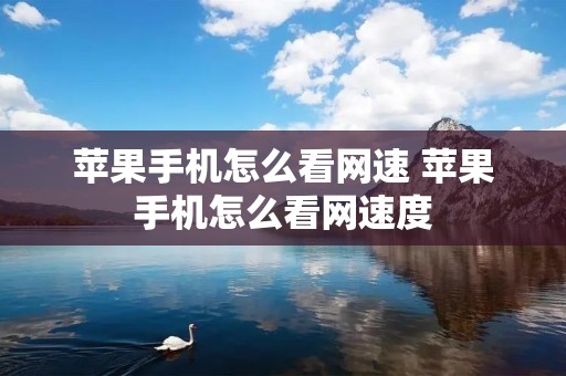 苹果手机怎么看网速 苹果手机怎么看网速度