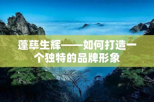 蓬荜生辉——如何打造一个独特的品牌形象