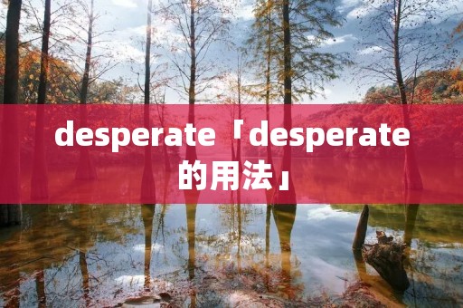 desperate「desperate的用法」