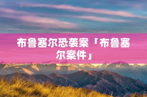 布鲁塞尔恐袭案「布鲁塞尔案件」 布鲁塞尔恐袭案「布鲁塞尔案件」